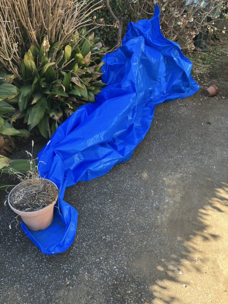 名古屋市,中区,遺品整理